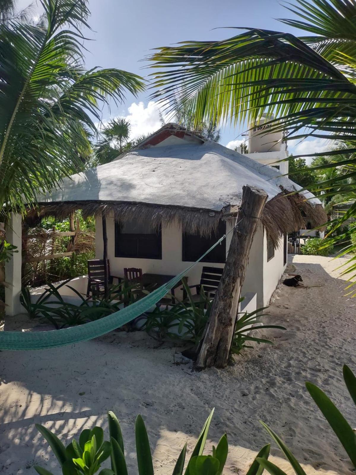 Lunazul Eco-Cabana Frente Al Mar Махауаль Экстерьер фото